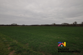 Działka rolna o pow. 1,74 Ha